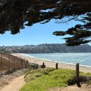 서부로R | [미국서부] 8월, 샌프란시스코 7박8일 여행 5일차