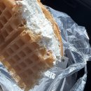 태연농장 | 26.3월 일상