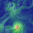 Re: 슈퍼태풍으로 성장한 11호태풍 할롱 이미지