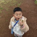 으뜸이야 이미지