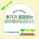 와이엠영어