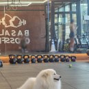 쏠트박스 | 크로스핏 드랍인] 이호테우 해변을 보며 와드(WOD)를! '바쏠트 크로스핏' 오션뷰에 반해 5회권 결제한 후기