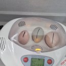 참다운농장 이미지