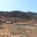 야생초마을아미골 이미지