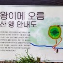 노리매 이미지