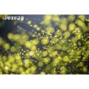 금호환경(주) - 1146 | 금호환경(주)
