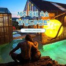제주와일드 | 제주 서쪽 독채 풀빌라 숙소 와일드루센트 제주도 유니크 감성 펜션