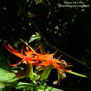 동자목장 이미지