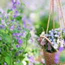 너 실로 예쁘다 이미지