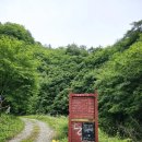 숲속농원민박 이미지