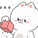 훈이애견