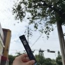 맥진 | 건강을 위한 작은변화 고온엔 생맥진