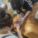 앵무세상 이미지