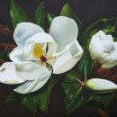 안네-마리 자네티(Anne-Marie Zanetti)의 목련꽃(Magnolia Blooming) 이미지