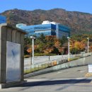 부산대학교 부산일보