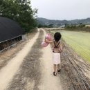 동촌 농장 이미지