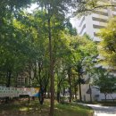 연지 주공아파트 이미지