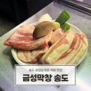 송도 삼겹살 맛집 금성막창 송도점 금성세트 솔직 후기