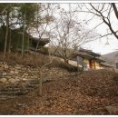 &#39;09 탐매(探梅) 그 첫 번째 여정