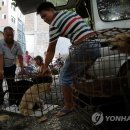 meat고 이미지