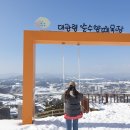 둔내목장 이미지