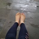 (주)그린랜드 이미지