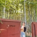 풍경-04 | 부산 F1963 달빛가든 목향장미 숨은 명소 방문 후기