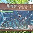 신라샘1 네이버블로그