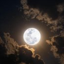 리네뜨안경 이미지