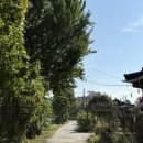 스테이서면별곡 이미지