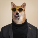 간지 옷 수선 이미지