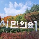 시민의숲산책로1-1 이미지