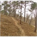 참사랑주유소 이미지