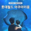 신용 아쿠아 수족관 | 잠실 롯데월드 아쿠아리움 4살 아이랑 가볼만한곳 주말 방문 후기