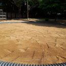 삼덕초등학교병설유치원 이미지