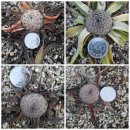 동면농장 이미지