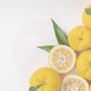 가리산자연휴양림 이미지