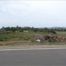 대정읍-2 이미지