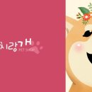 꼬리치랑개 이미지