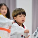 코리아탑태권도장 이미지