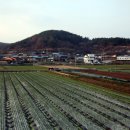 동정보건진료소 이미지