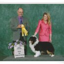 라스트캐슬 미국 쇼 소식(WESTERN NEW YORK SHETLAND SHEEPDOG CLUB ) 이미지