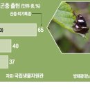 답동민박 한국경제