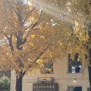 효자로L 이미지