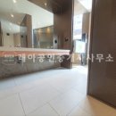 와이리테일