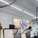 크로스핏 앤츠 이미지