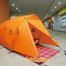 엠에스알 Daum카페