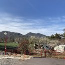 명도그 오토캠핑장 이미지