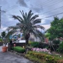 제주 애월 라꾸르 풀빌라 펜션 이미지