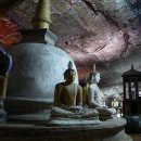 동굴왕족 이미지